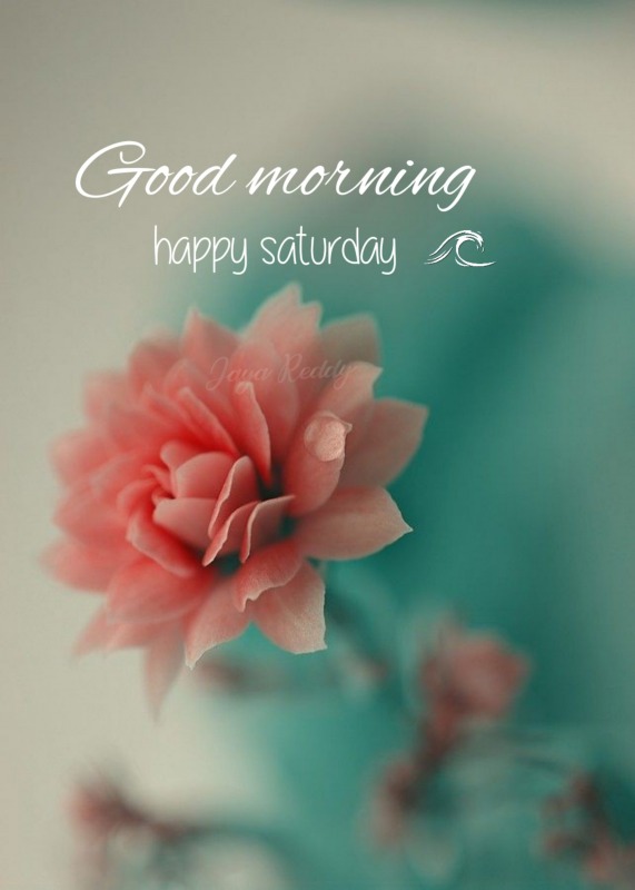 Good Morning Happy Saturday