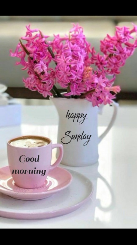 Happy Sunday Good Morning