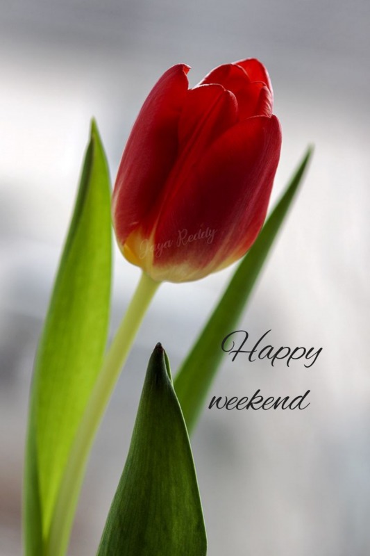 Happy Weekend