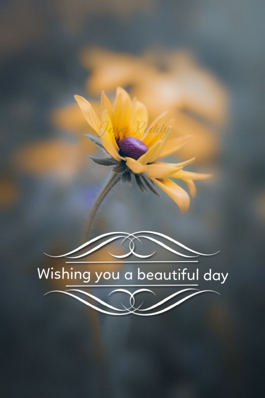 Wishing You A Beautiful Day - DesiComments.com