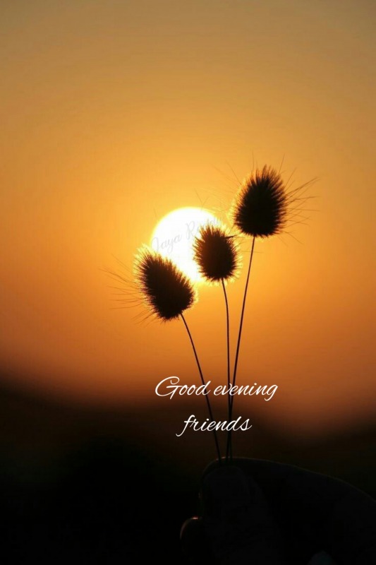 Good Evening Friends