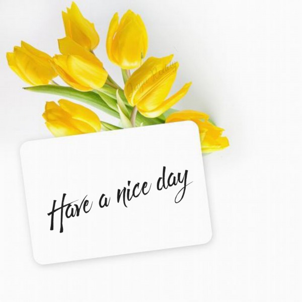 Have A Nice Day