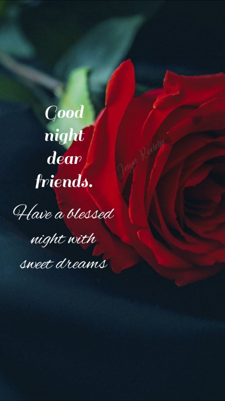 Good Night Dear Friends