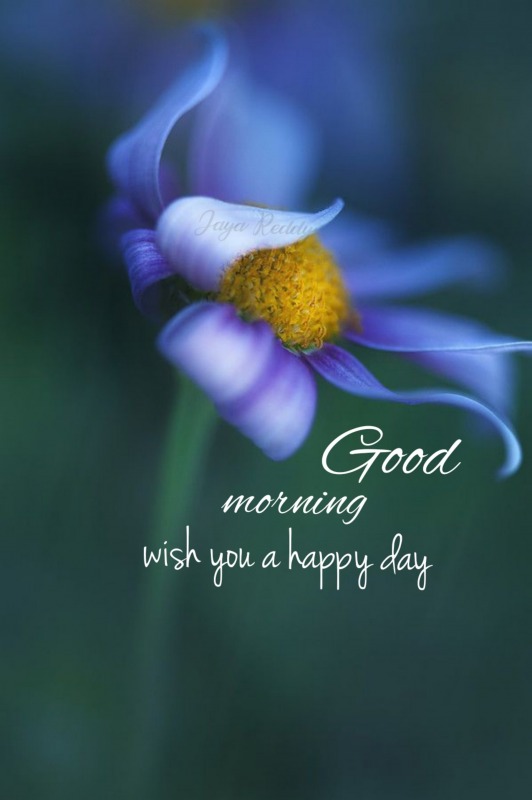 Wish You A Happy Day