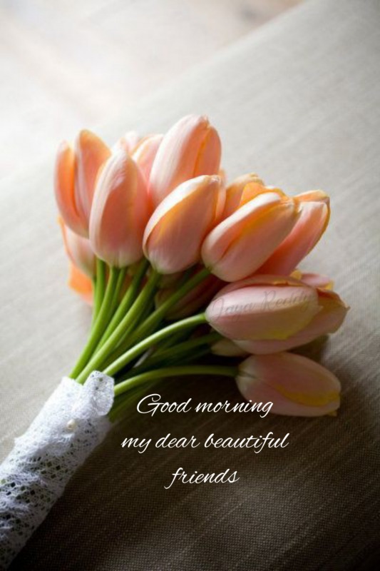 Good Morning My Dear Beautiful Friends