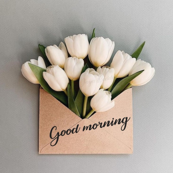 Good Morning With Flowers