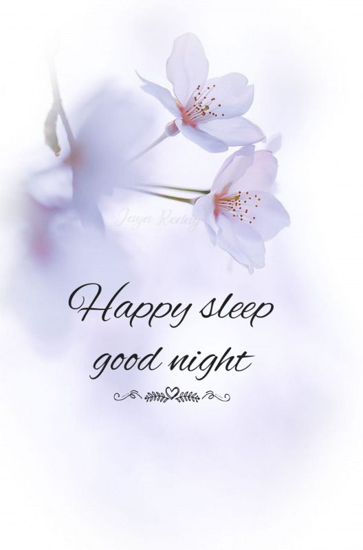 Happy Sleep