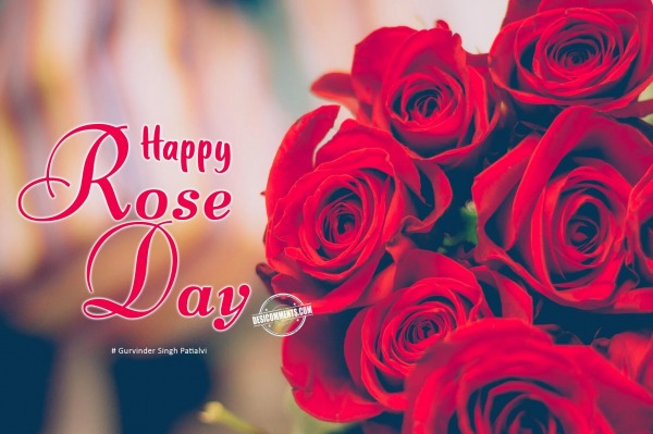 Celebrating Rose Day