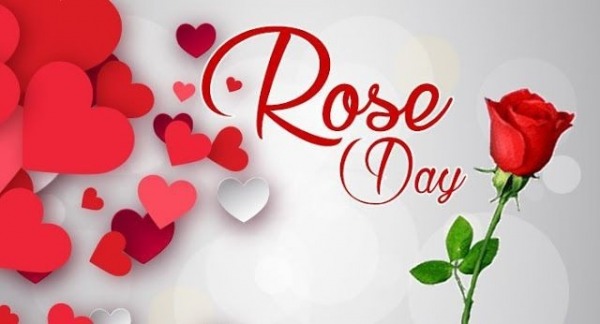 Happy Rose Day