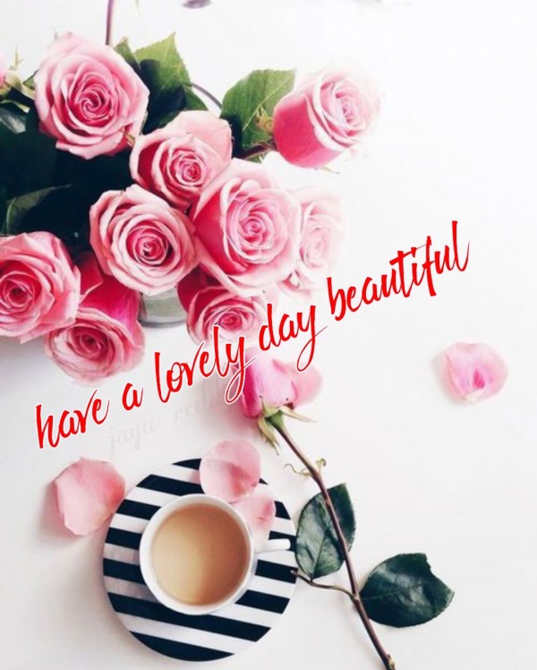 Have A Lovely Day Beautiful
