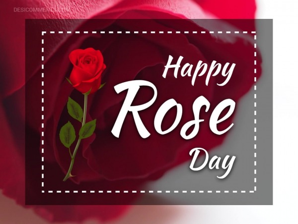 Happy Rose Day My Love