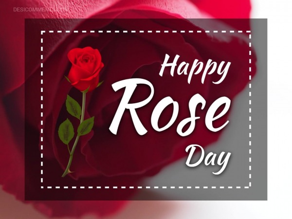 220+ Rose Day Images, Pictures, Photos - Page 2