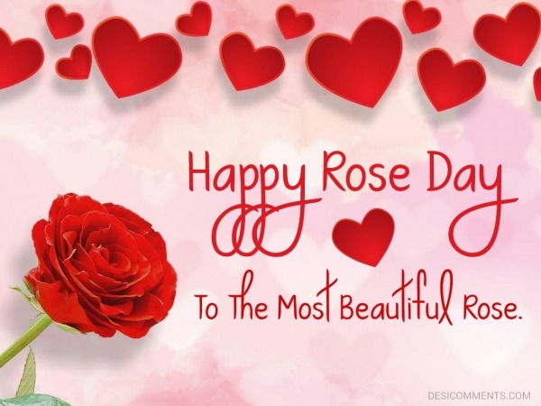 Happy Rose Day To The Most Beautiful Rose.