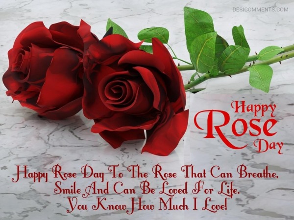 Happy Rose Day To The Rose