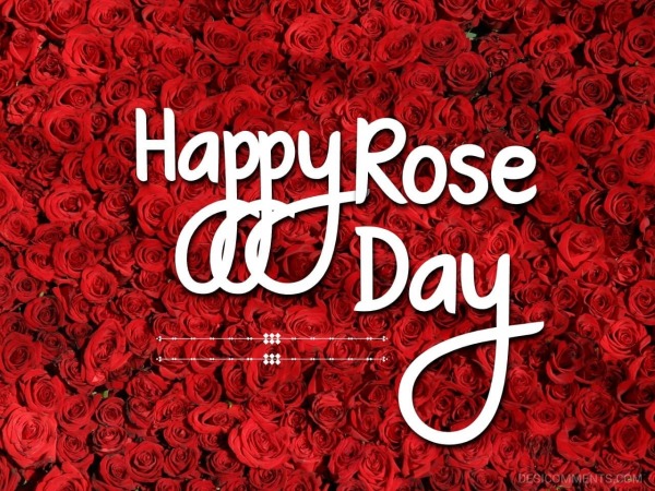 Happy Rose Day