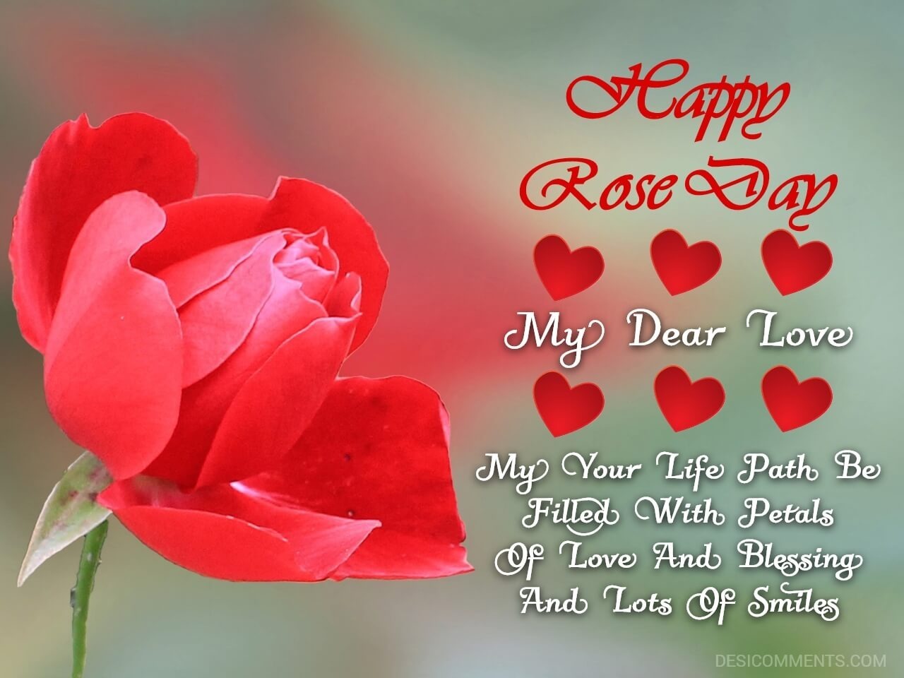 220+ Rose Day Images, Pictures, Photos