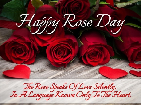 The Rose Speaks Of Love