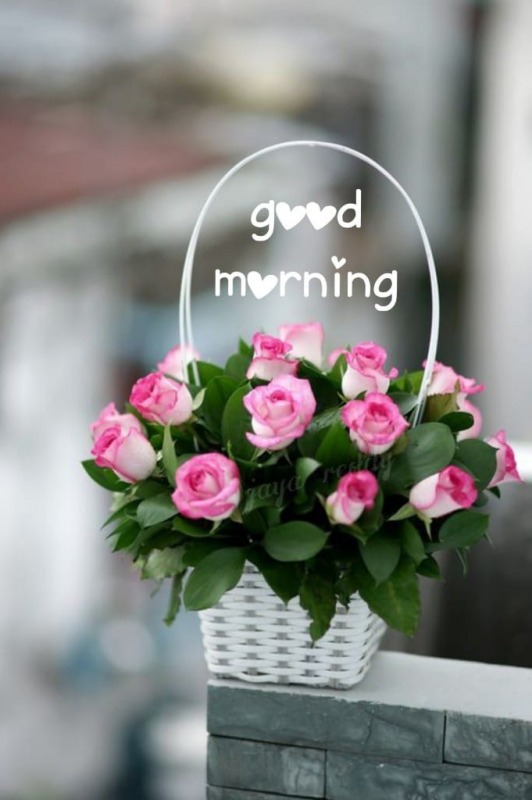 Good Morning With Flowers - DesiComments.com