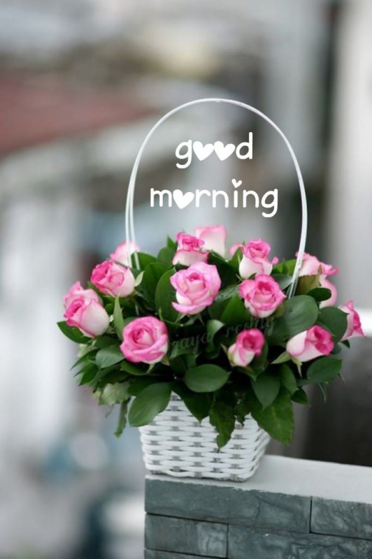 Good Morning With Flowers