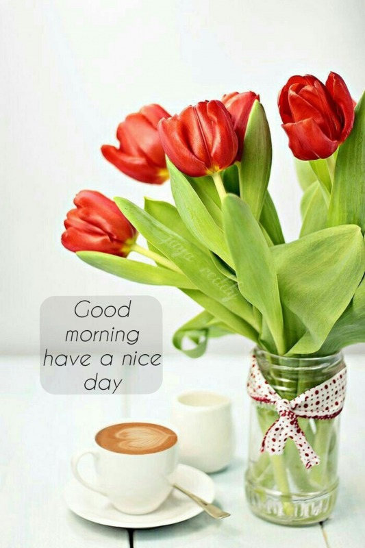 Good Morning Have A Nice Day