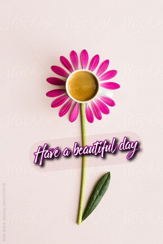 Have A Beautiful Day