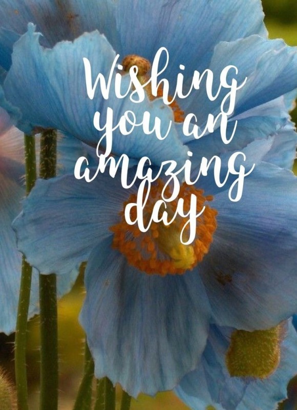 Wishing You An Amazing Day
