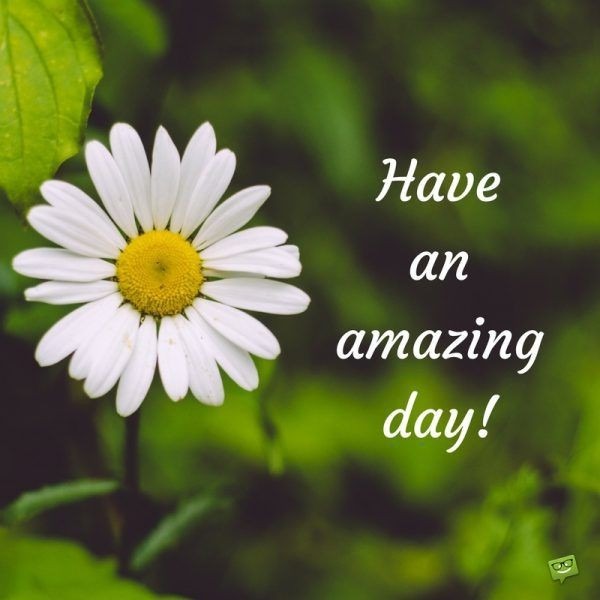 Have An Amazing Day