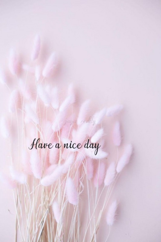 Have A Nice Day