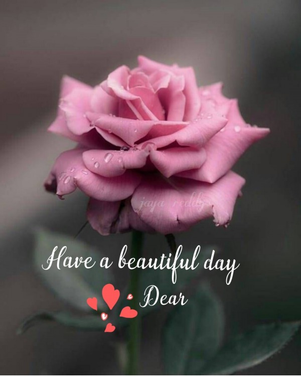 Have A Beautiful Dear