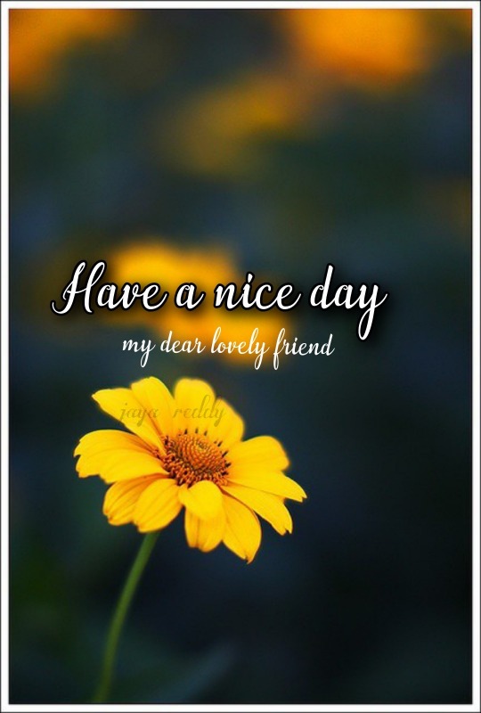 Have A Nice Day