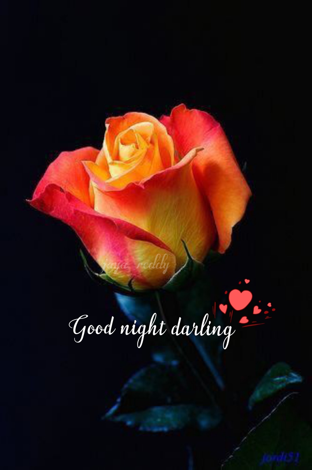 Good Night Darling - DesiComments.com