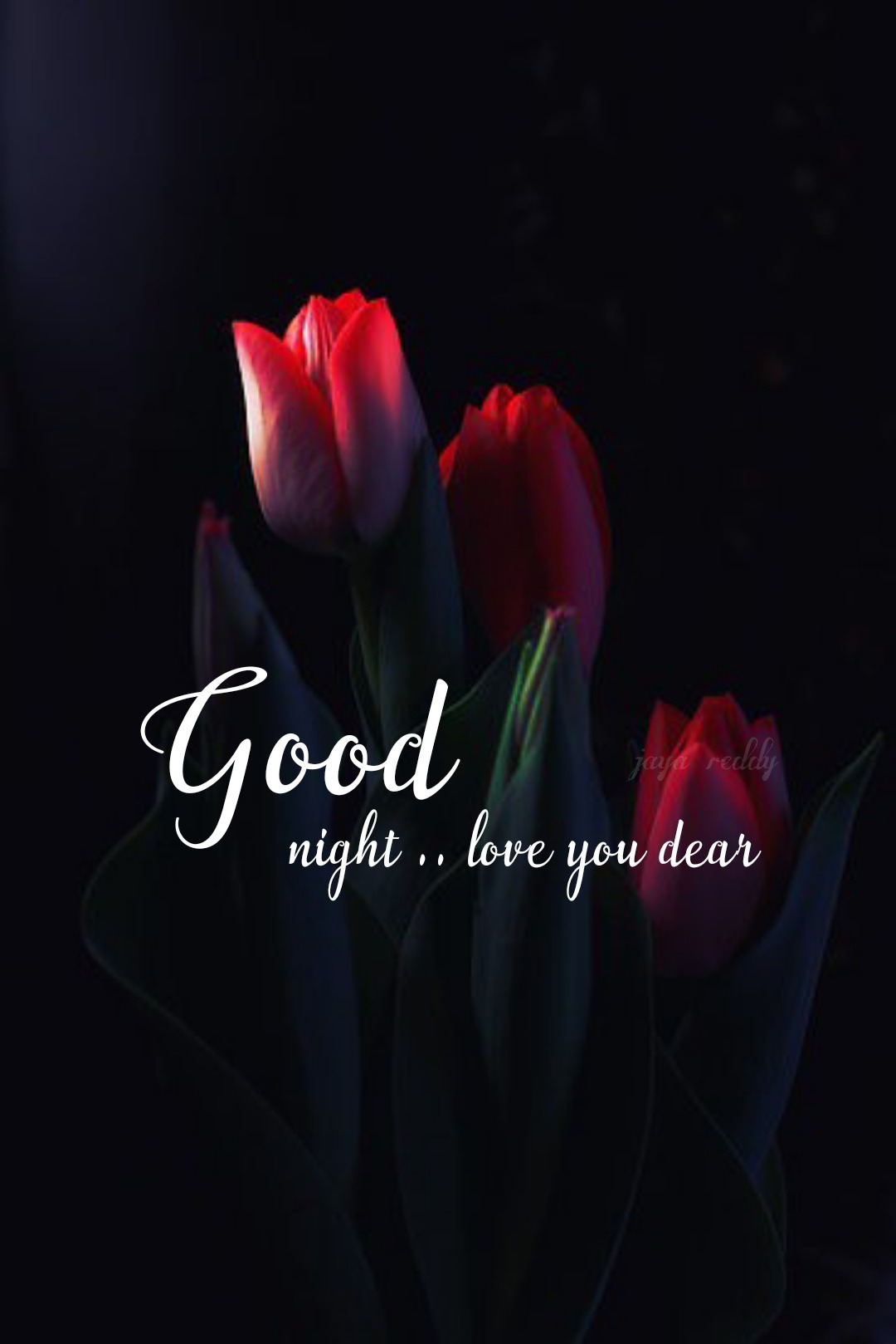 Good Night Love You Dear - DesiComments.com
