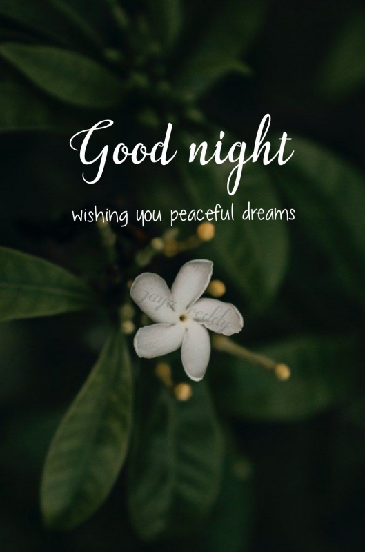 Wishing You Peaceful Dreams