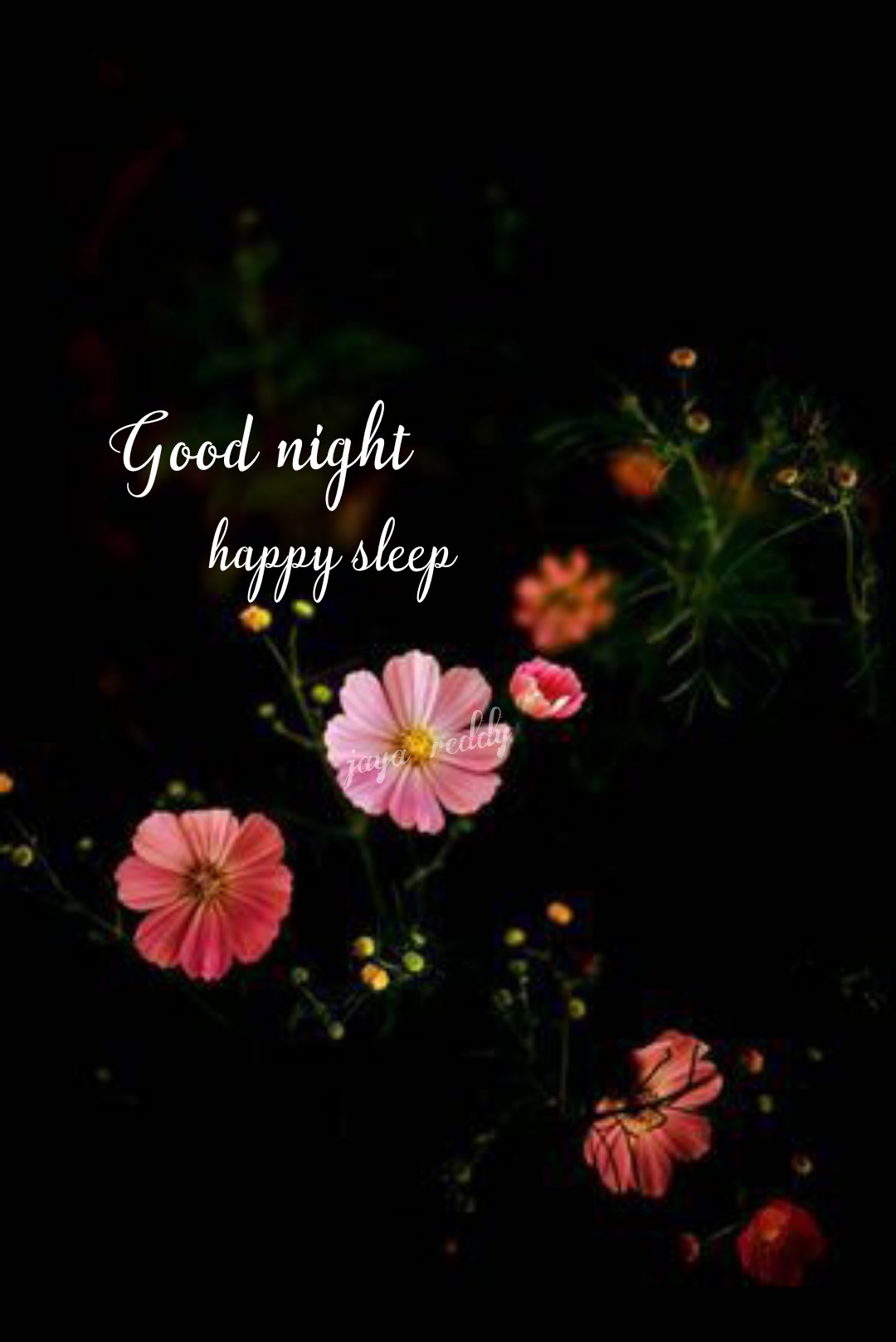 Good Night Happy Sleep - DesiComments.com