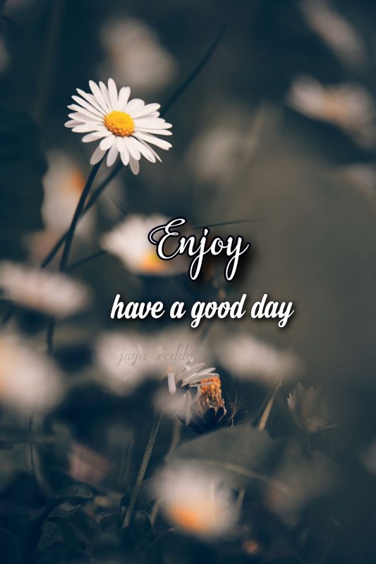 Enjoy Have A Good Day