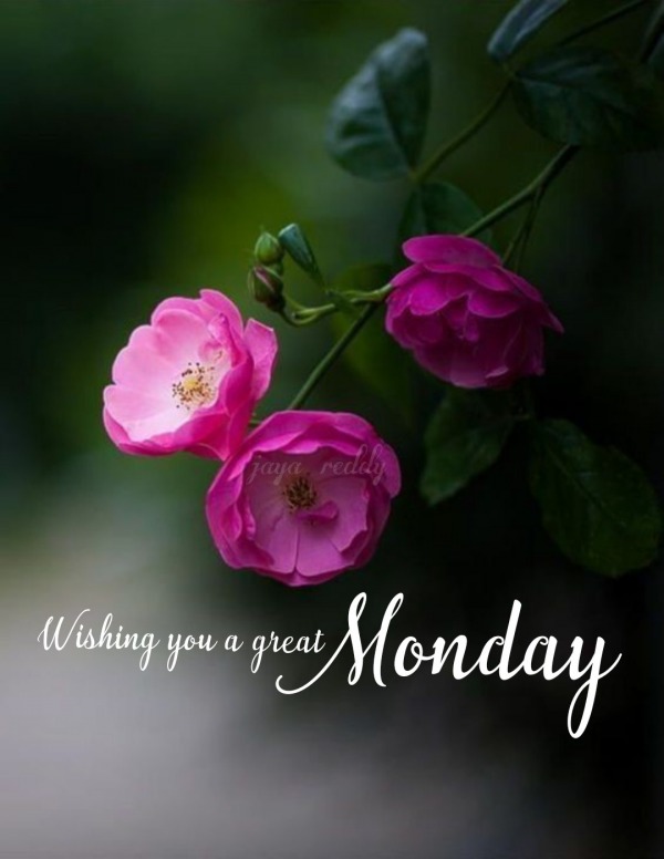 Wishing You A Great Monday