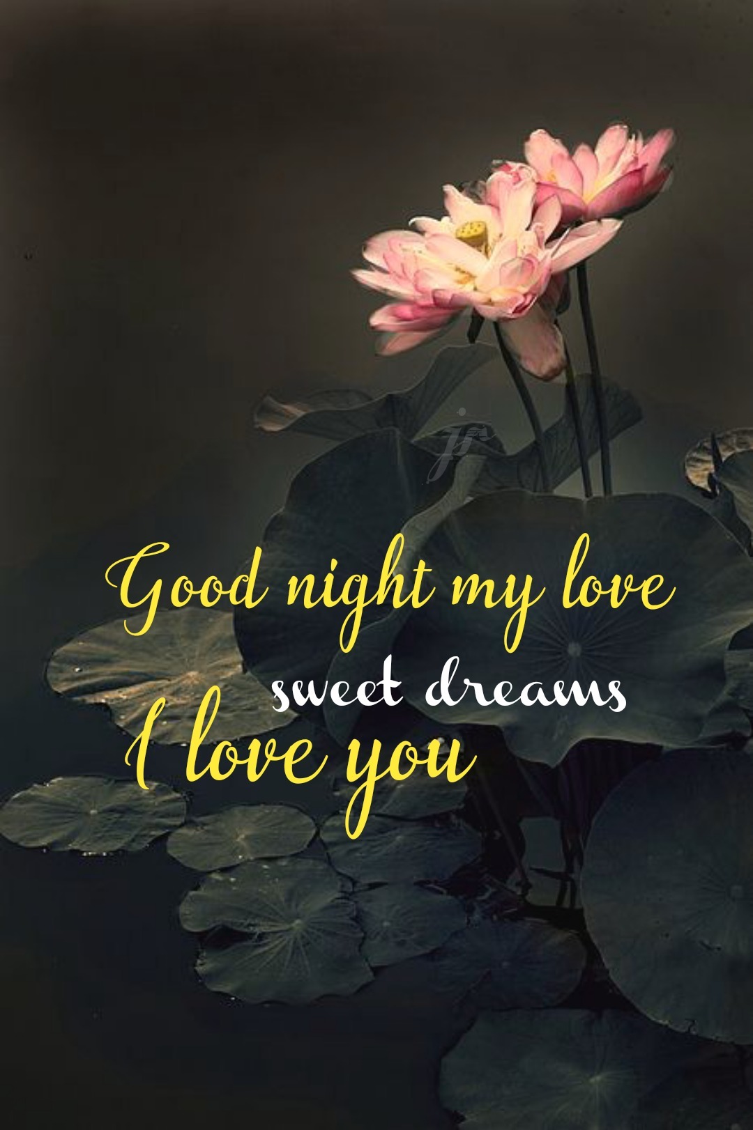 Good Night My Love - DesiComments.com