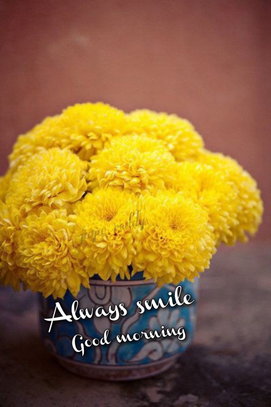 Always Smile