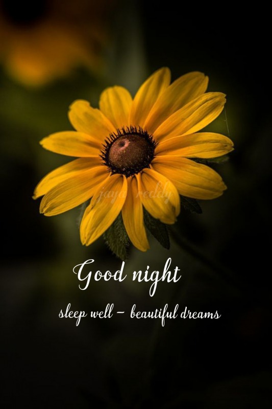 Sleep Well & Beautiful Dreams