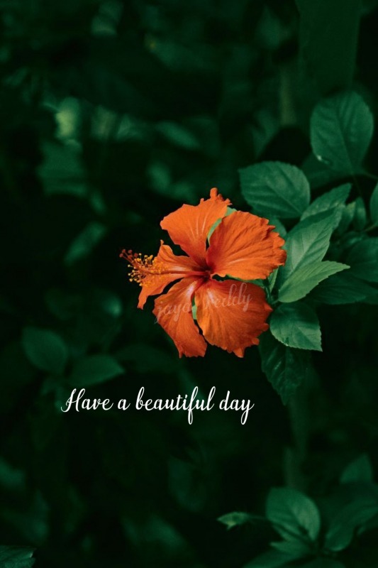 Have A Beautiful Day