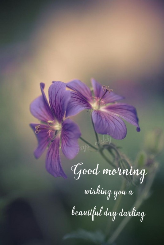 Wishing You A Beautiful Day Darling