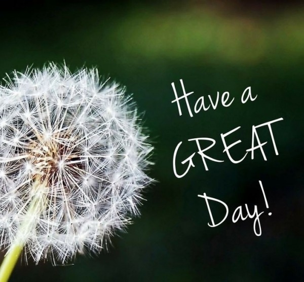 Have a great day!
