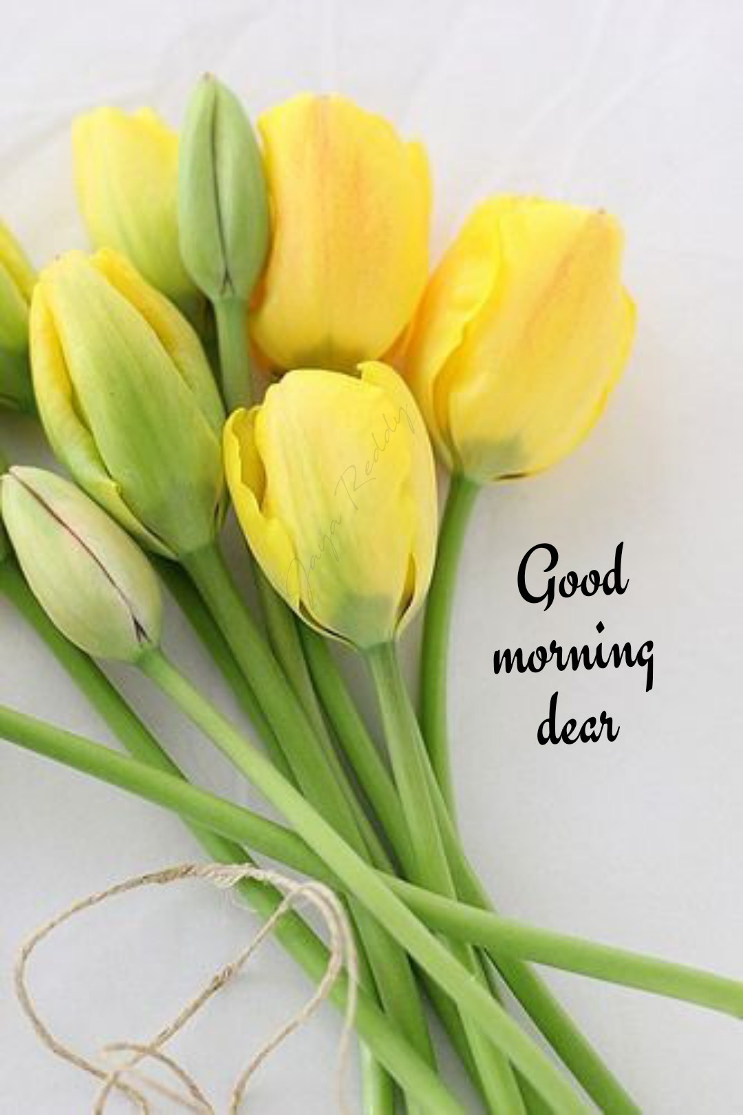 Good Morning Dear - DesiComments.com