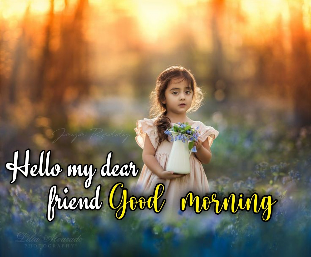 Hello My Dear Friend Good Morning - DesiComments.com