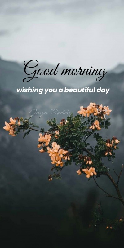 Good morning wishing you a beautiful day