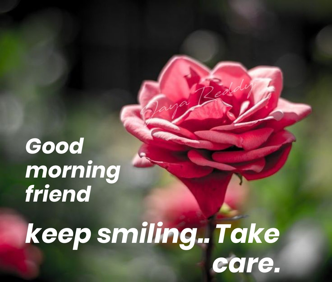 Good Morning Friends - DesiComments.com