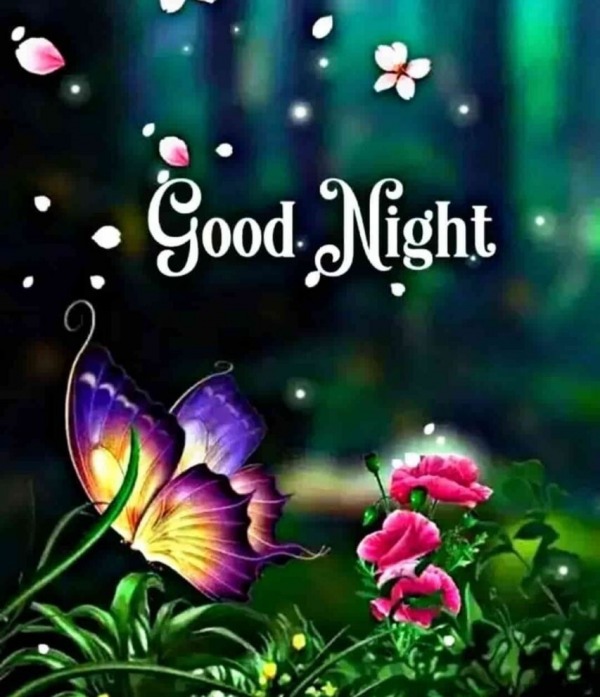 Beautiful Good Night Image