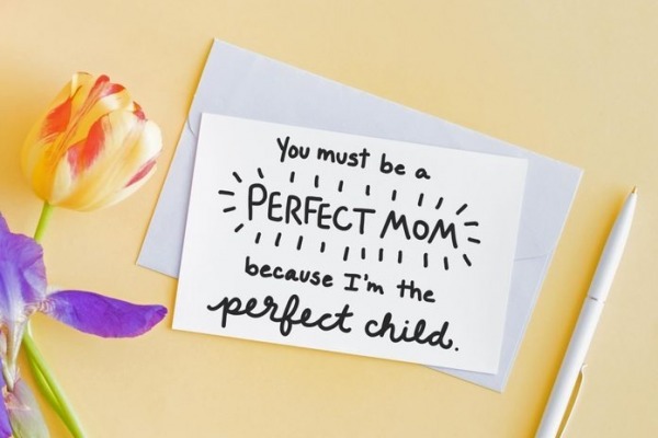 You Must Be A Perfect Mom