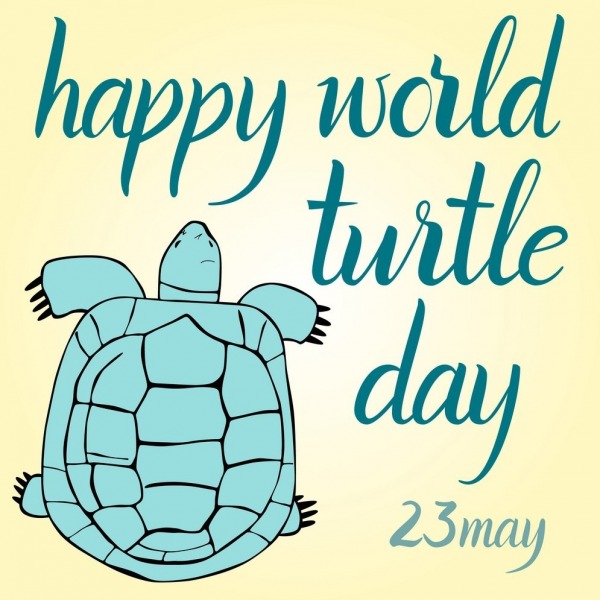 Happy World Turtle Day