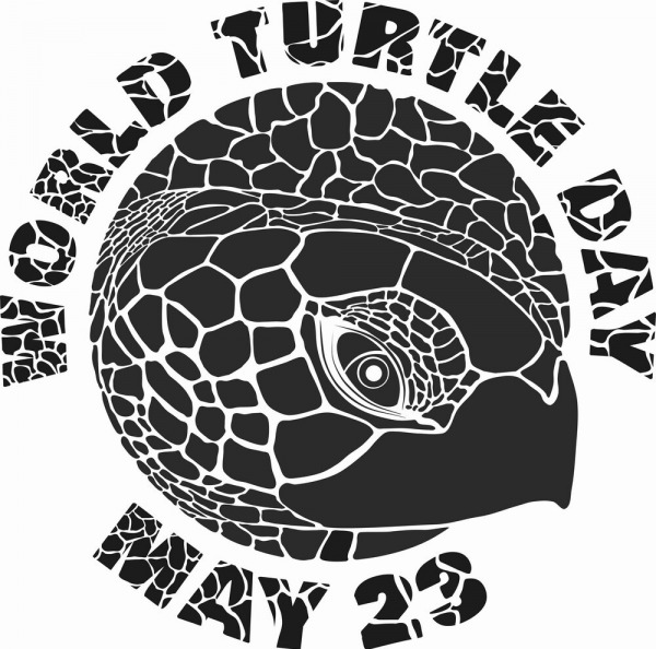 World Turtle Day